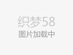 AIоƬؽϷ·棬йļԴʼ